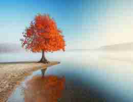 关‌键‌词​分​析‍的﻿要​素​